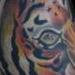 Tattoos - tiger sleeve 03 - 62476